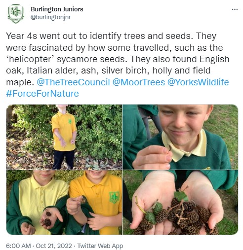 Burlington Junior School children collecting seeds for CiaB