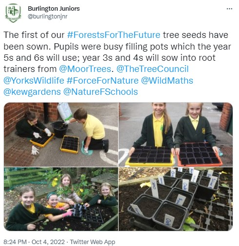 Burlington Junior School pupils planting tree seeds in root trainers