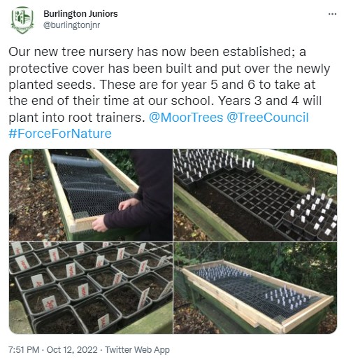 Burlington Junior School's new tree nursery