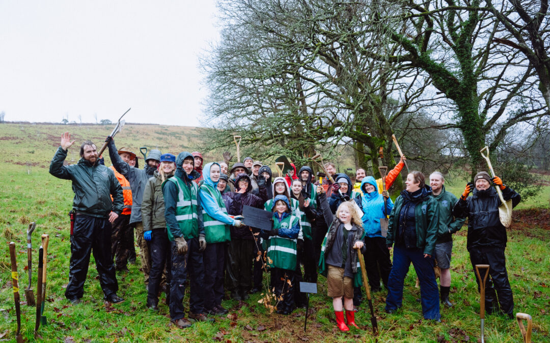 Major milestone reached as volunteers plant our 200,000th tree in our mission to create native woodlands on Dartmoor