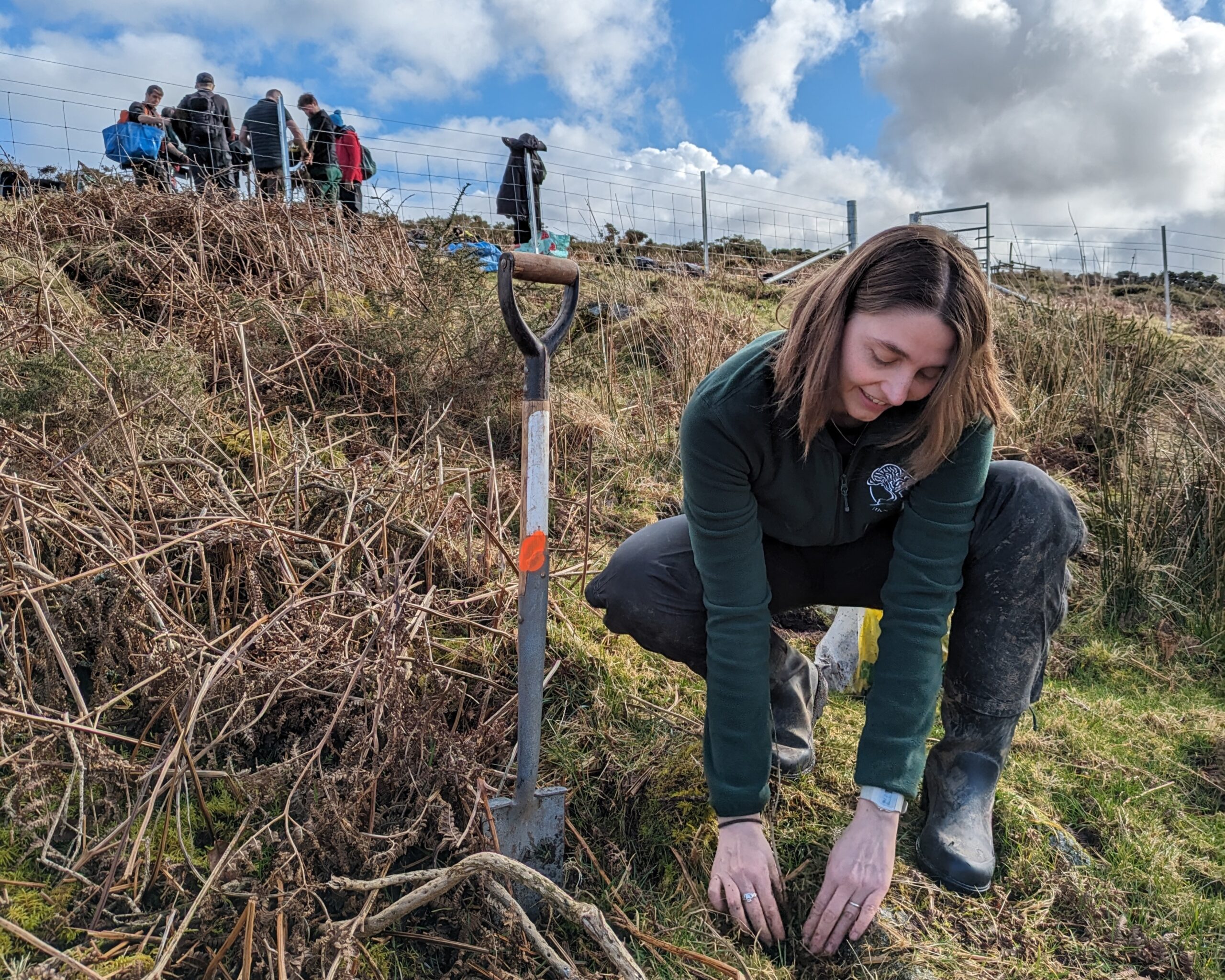 Volunteers plant 800 more trees in restoration effort at Wistman’s Wood