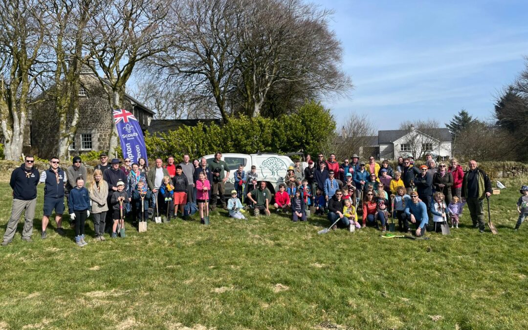 Scouts celebrate 50 years by planting Dartmoor hedgerow with Moor Trees