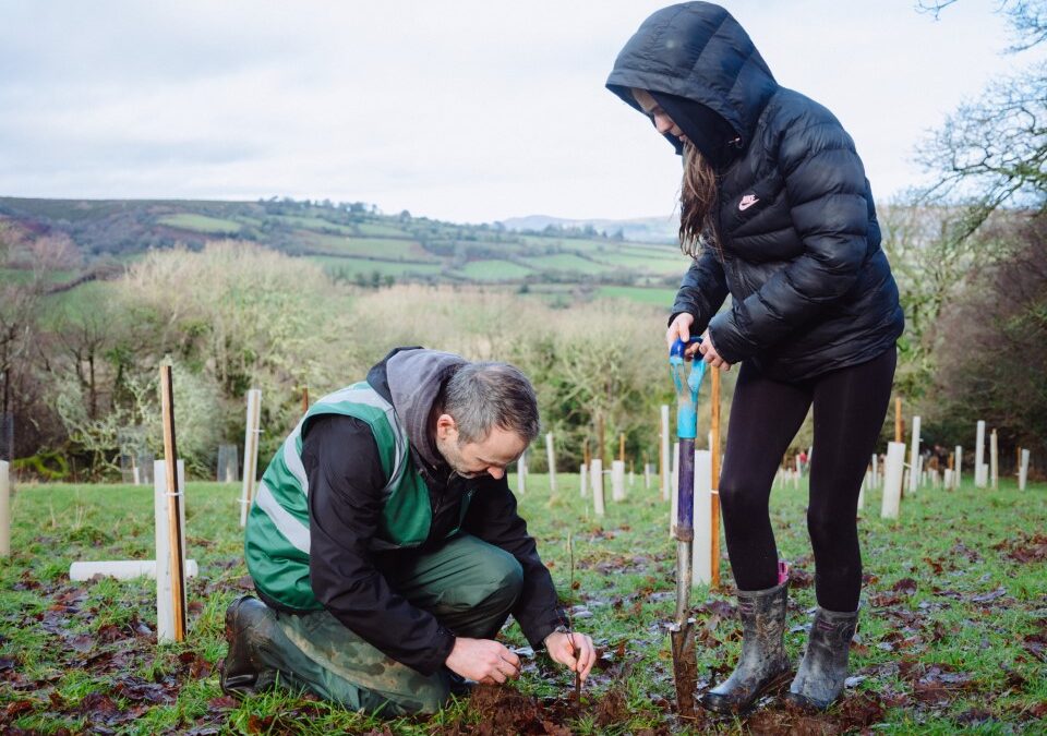 Celebrating a diverse season of tree planting across Dartmoor