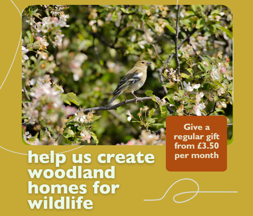 Regular Giving Ask - May 2026 V3 Advert promoting Double Donations