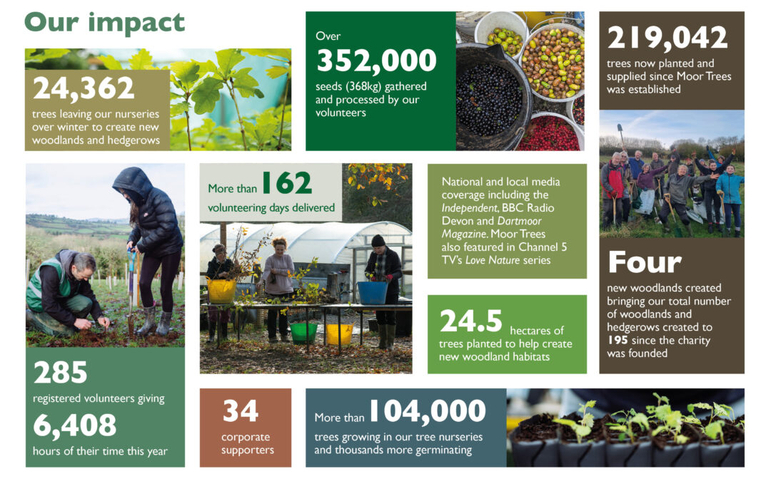 Moor Trees volunteers give over 6,400 hours to help restore and create native woodland
