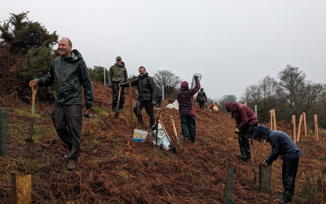 Boosting natural processes in Dartmoor’s river valleys