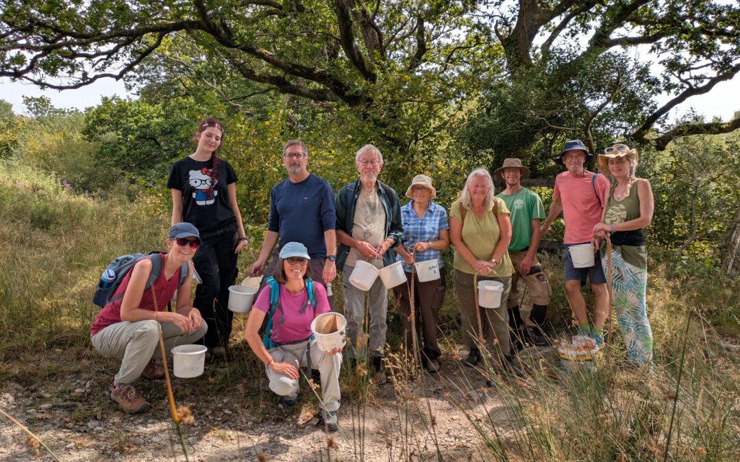 Community help harvest seeds to create Dartmoor’s woodlands of the future